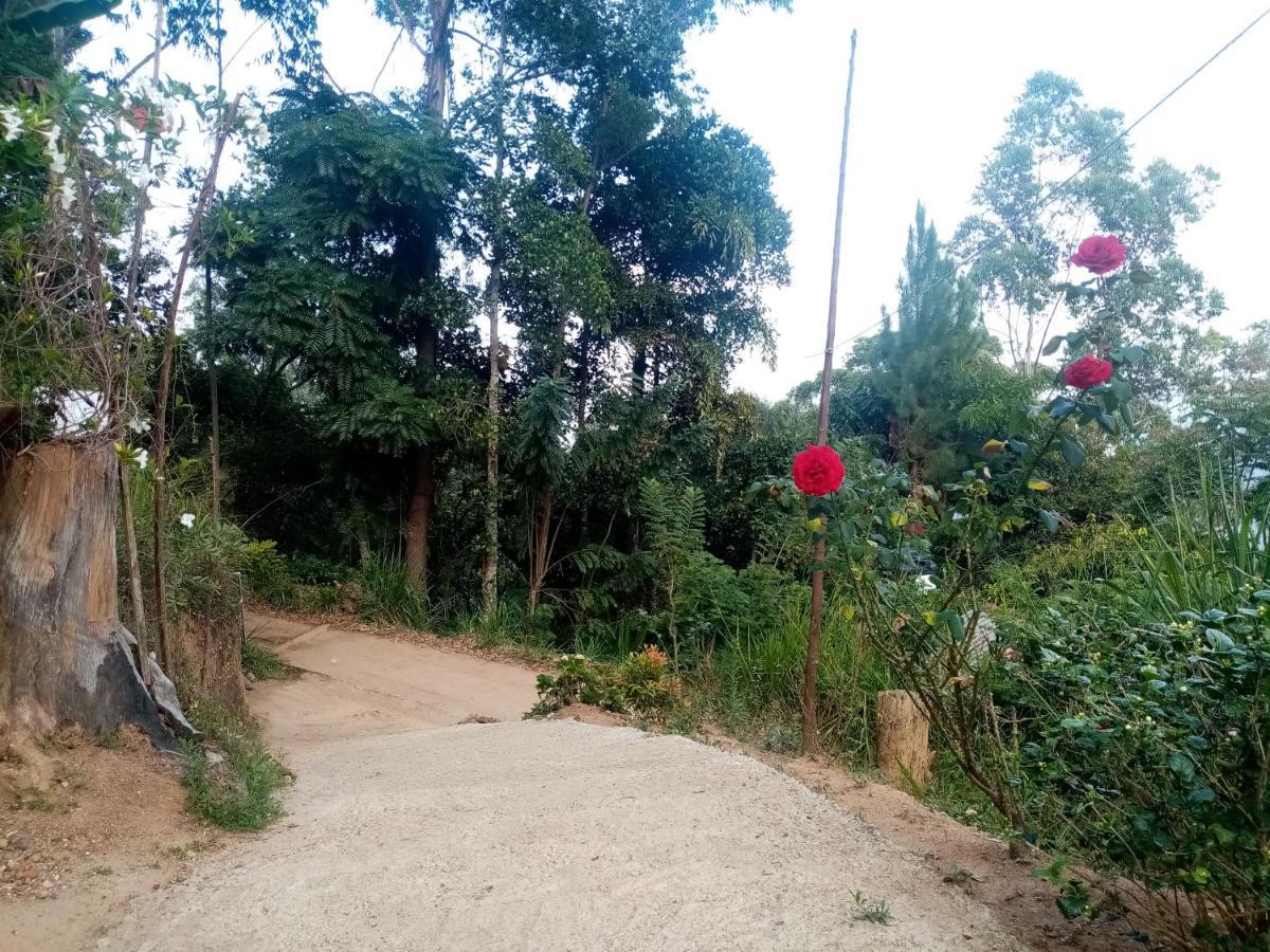 Apurvi Homestay إيلا المظهر الخارجي الصورة