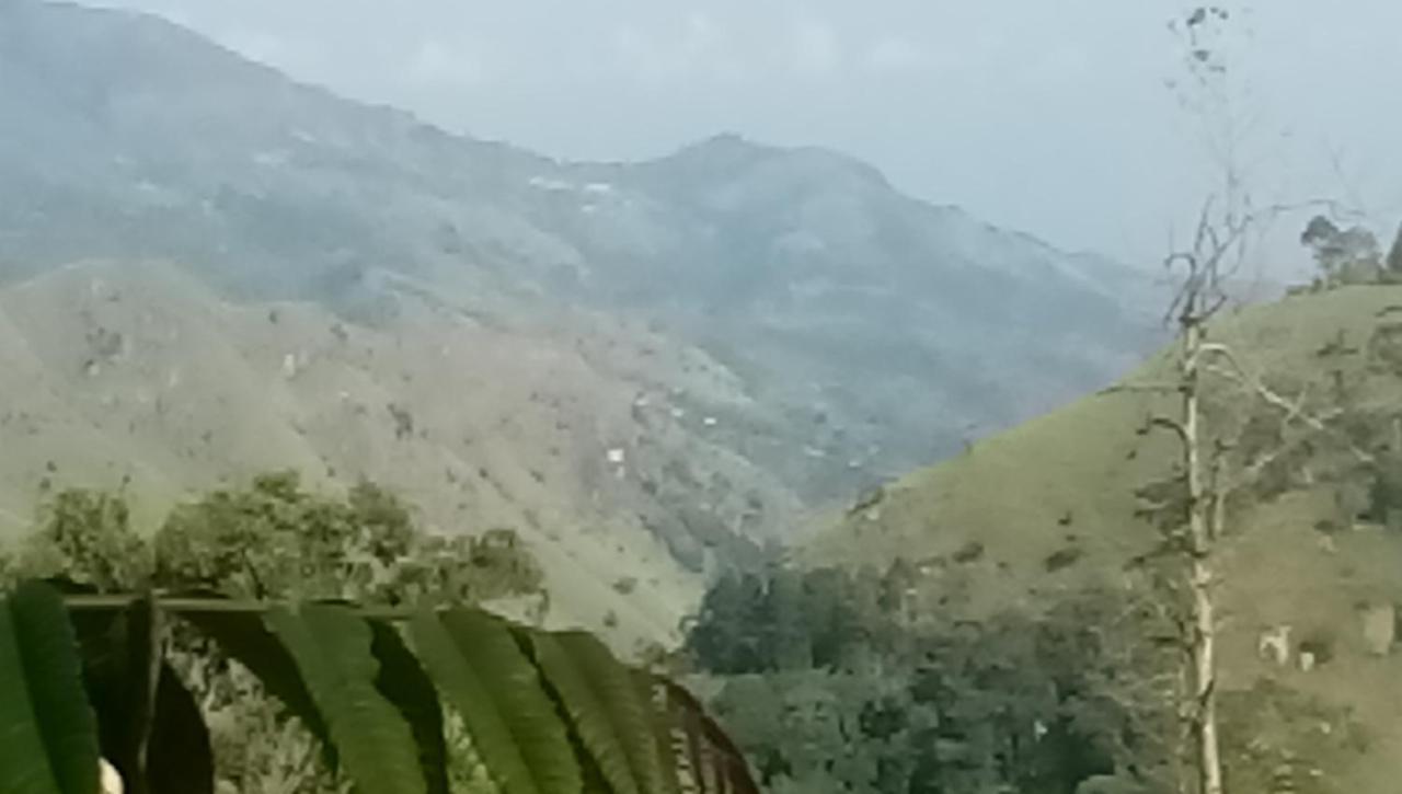 Apurvi Homestay إيلا المظهر الخارجي الصورة