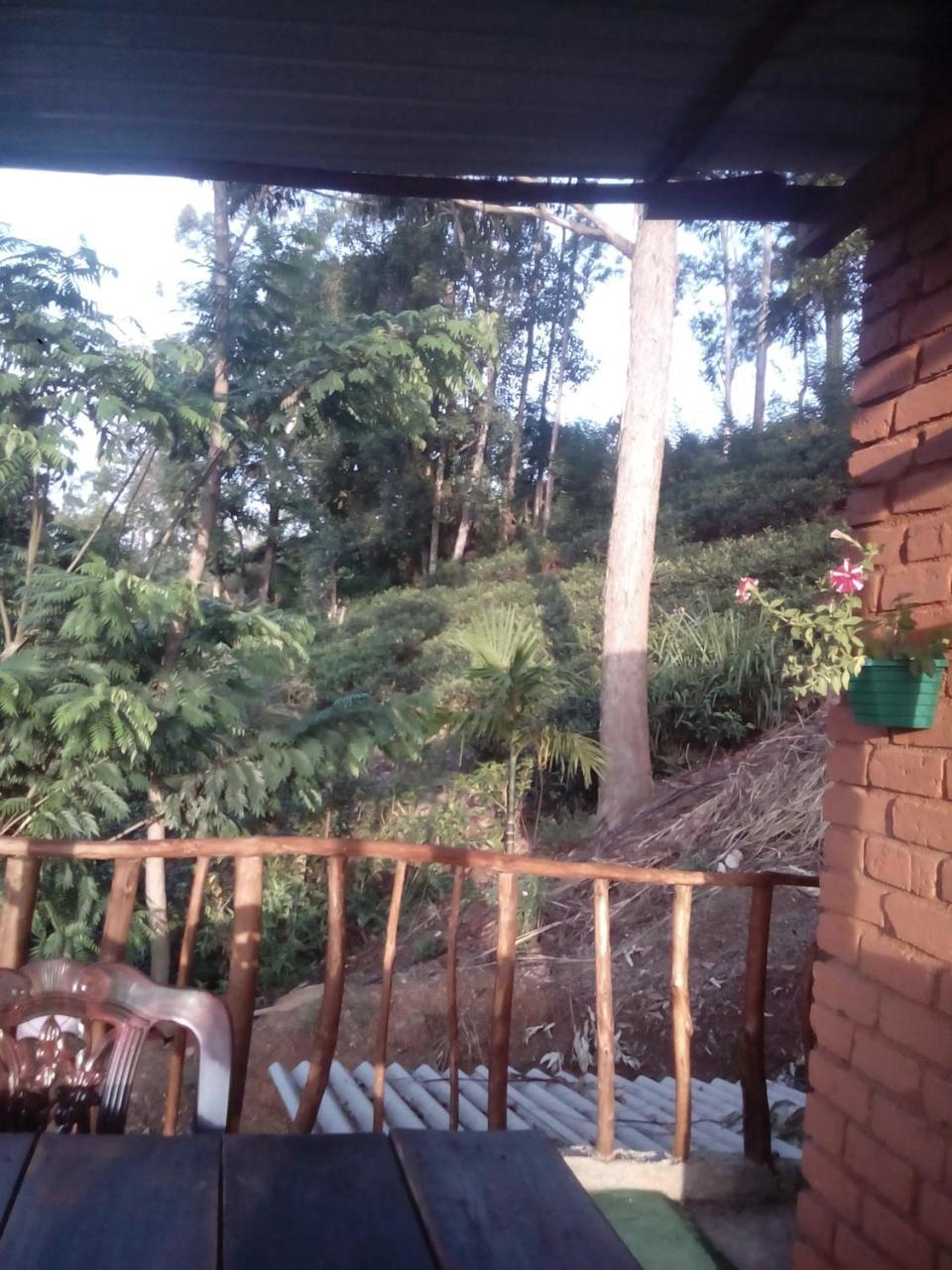 Apurvi Homestay إيلا المظهر الخارجي الصورة